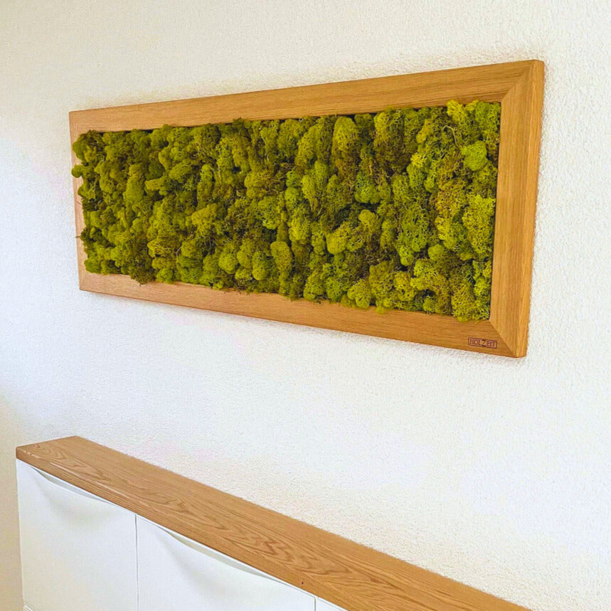 Moosbild im Eichenrahmen – Handgefertigtes Wandbild aus konserviertem Islandmoos