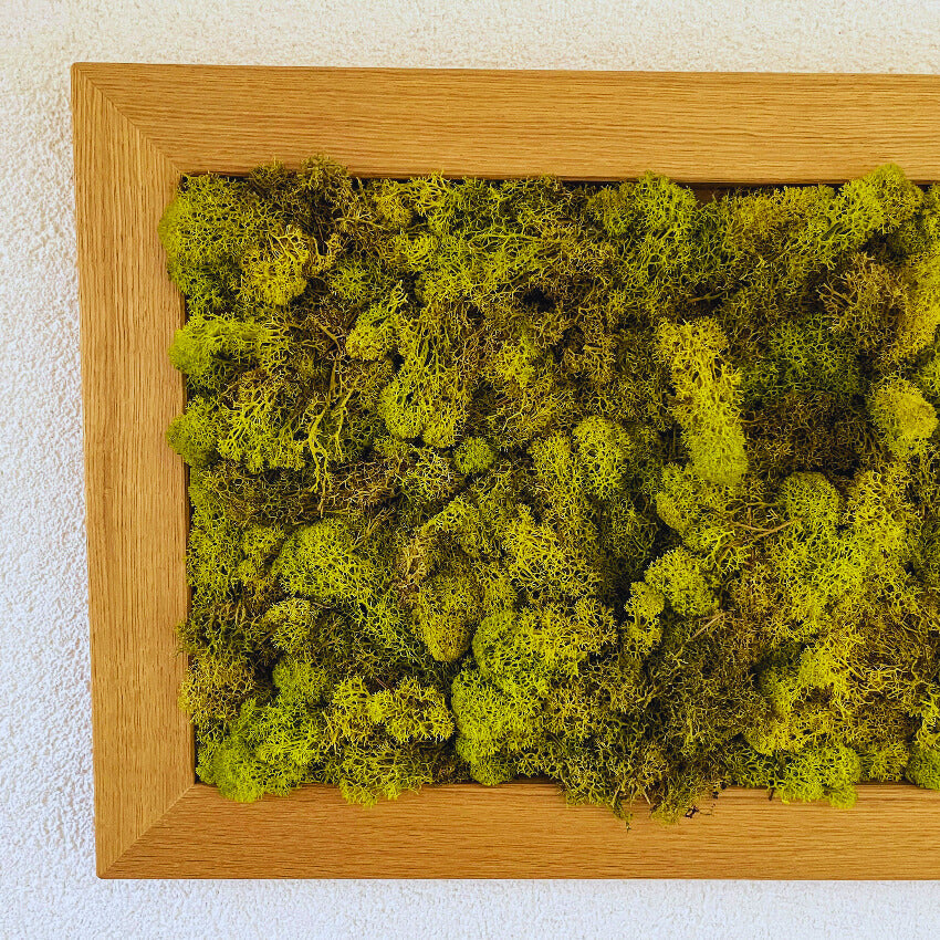 Moosbild im Eichenrahmen – Handgefertigtes Wandbild aus konserviertem Islandmoos